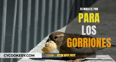 ¿El pan es malo para los gorriones?