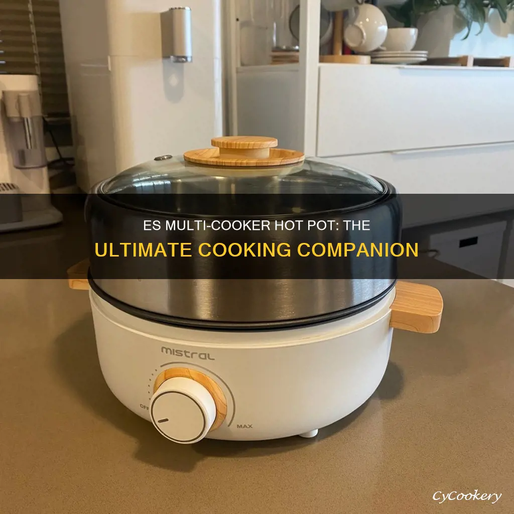 es multi cooker hot pot