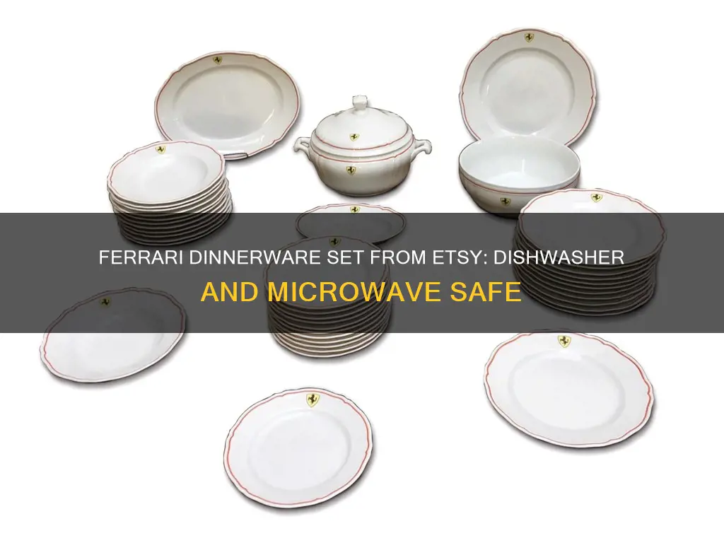 etsy ferrari dinnerware set dishwasher microwave