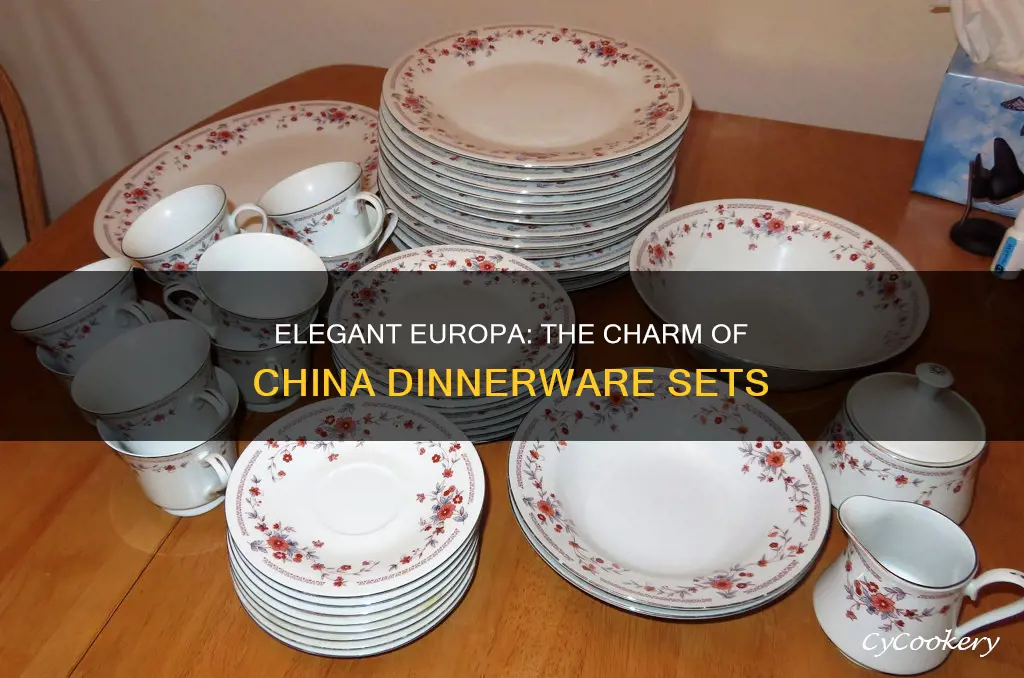 europa china dinnerware set