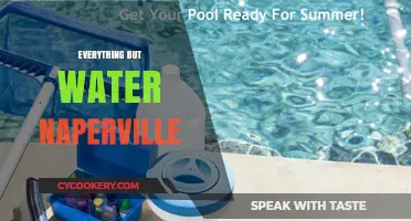Naperville's Everything But Water: Your Ultimate Pool and Spa Destination