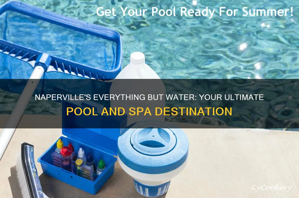 everything but water naperville
