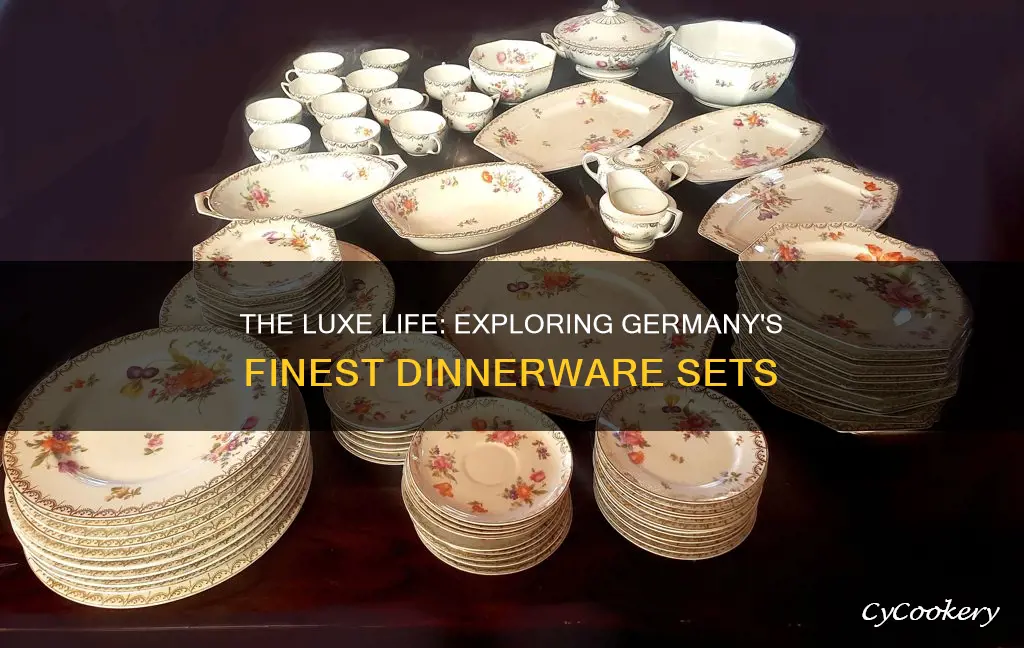 expensive german dinnerware sets