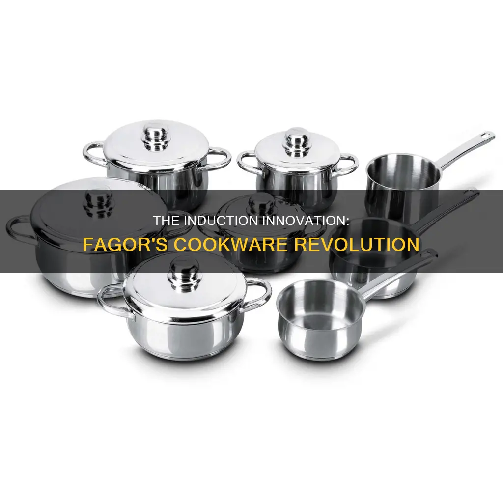 fagor induction cookware set