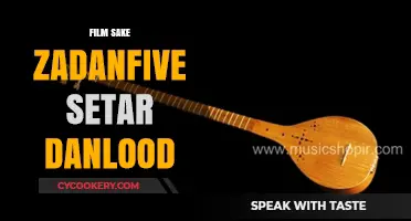 Exploring Film Sake Zadanfive: Setar Melodies and Download Guide