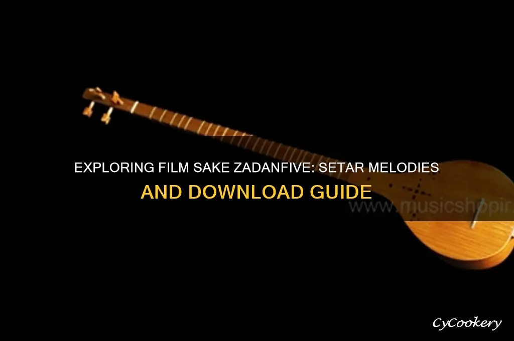 film sake zadanfive setar danlood