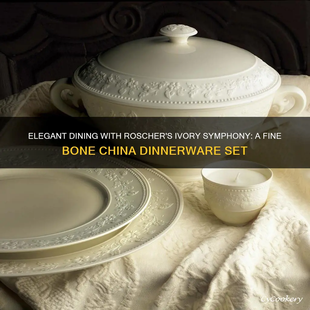 fine bone china dinnerware set by roscher ivory symphony design