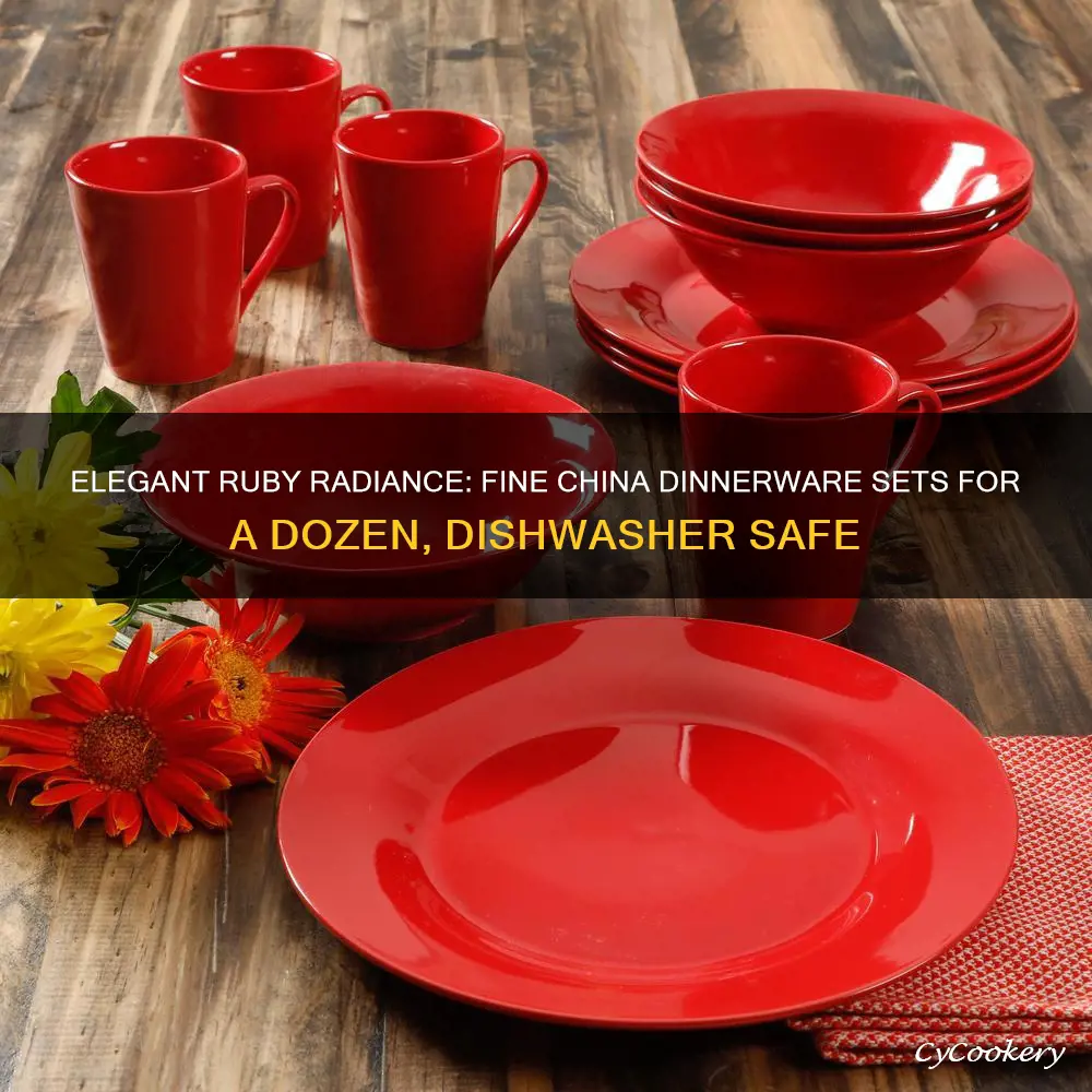 fine china dinnerware sets for 12 dishwasher safe red