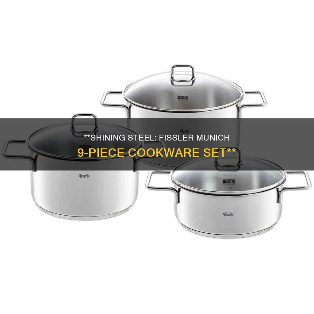 fissler munich 9 piece stainless steel cookware set