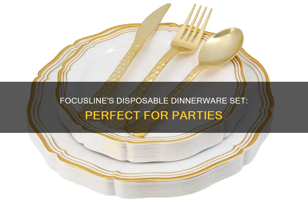 focusline disposable dinnerware set