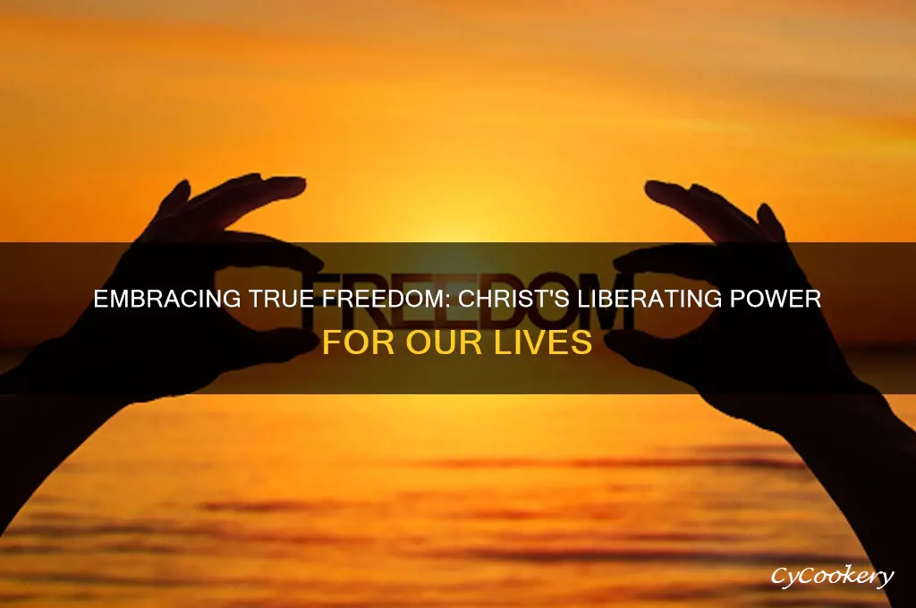 for freedom sake christ set us free