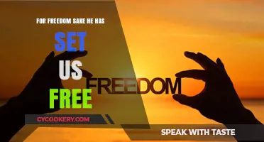 Embracing True Freedom: Christ's Liberating Power for Our Lives