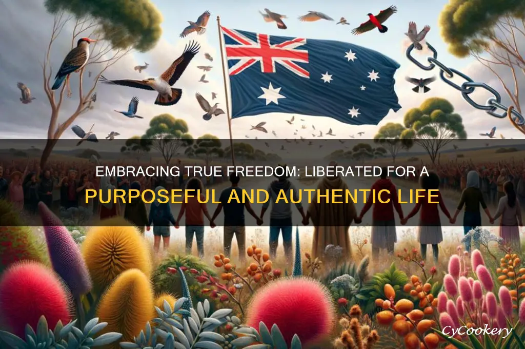 for freedom sake we have been set free