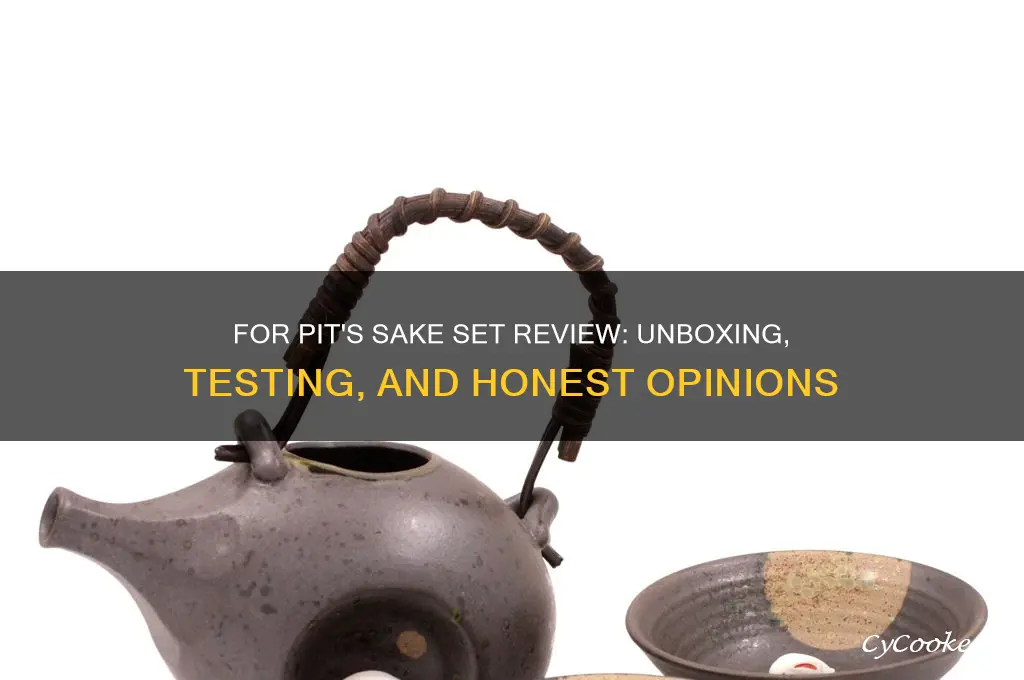 for pits sake set review