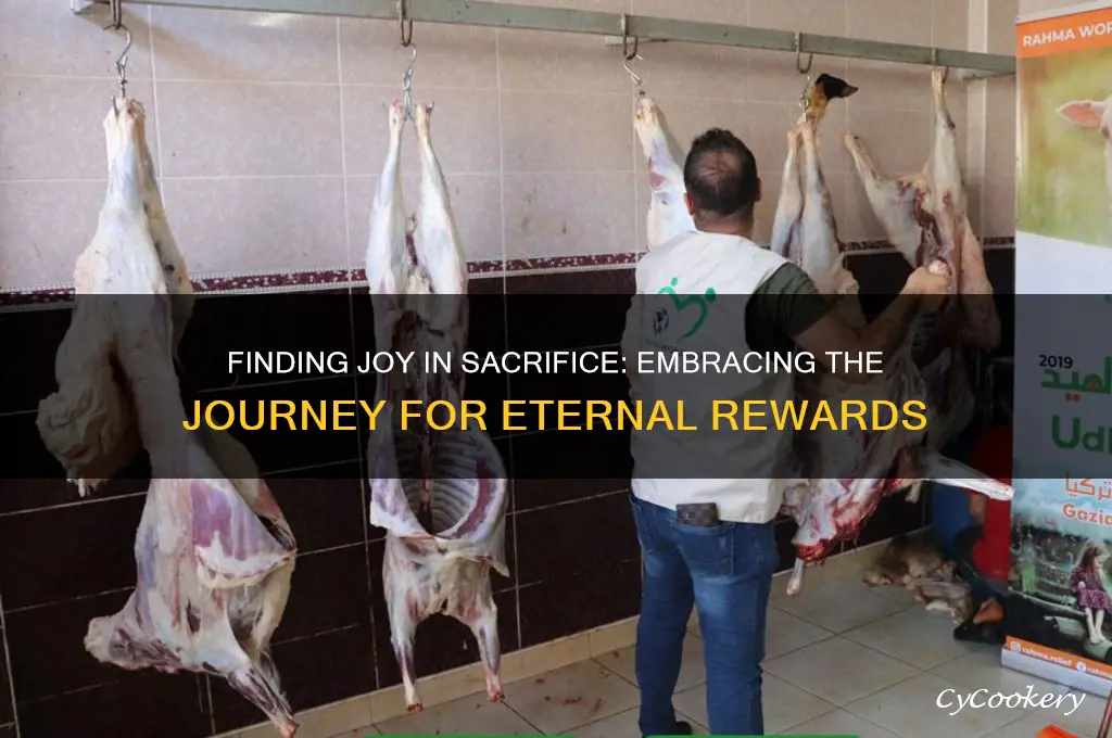 for the sake of the joy set before him