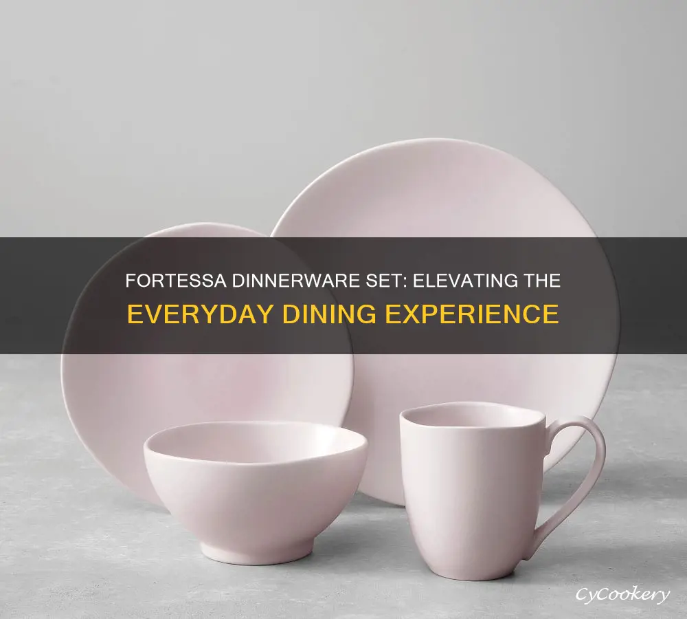 fortessa dinnerware set