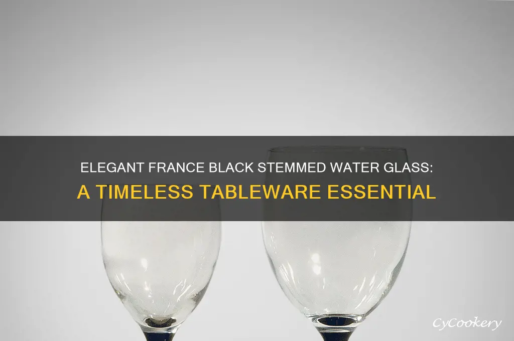 france black stemmed water glass