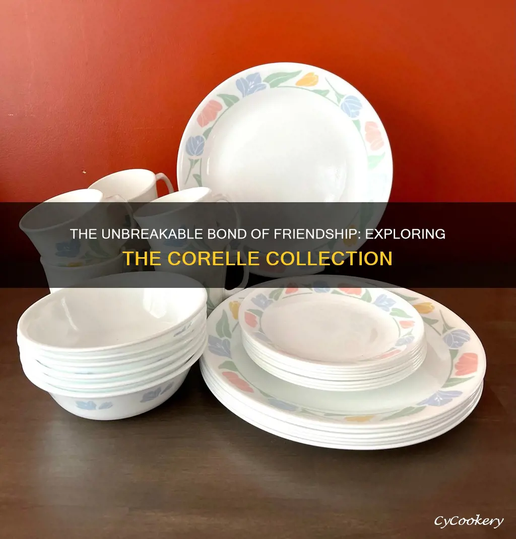 friendship corelle