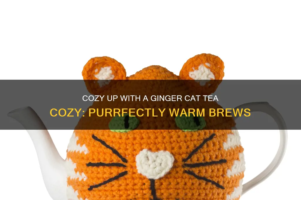 ginger cat tea cozy