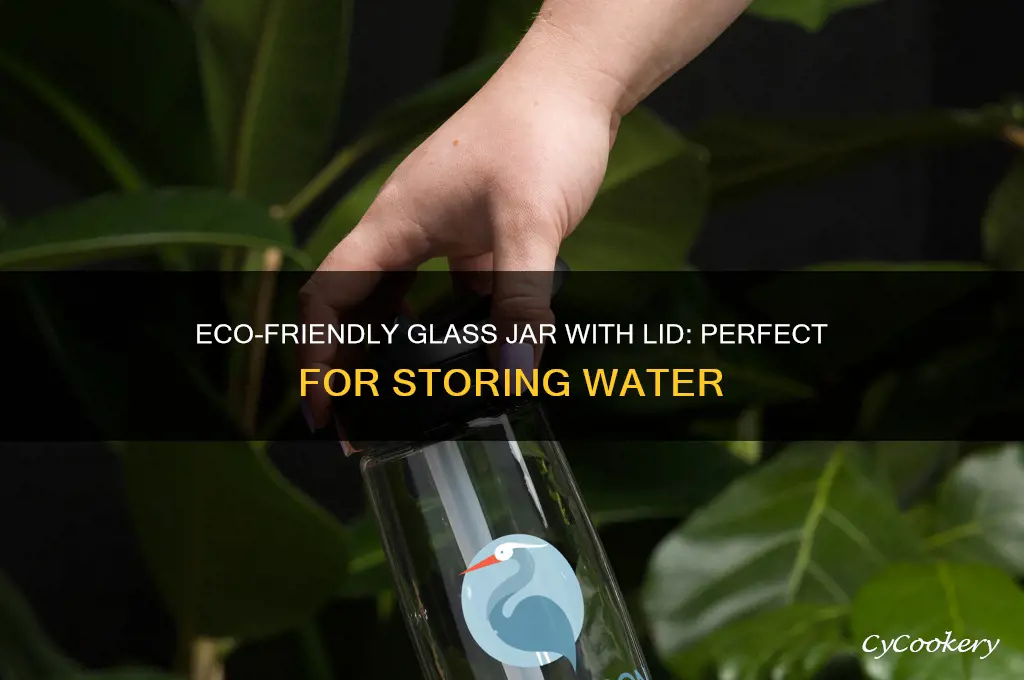 glass jar with lid for water