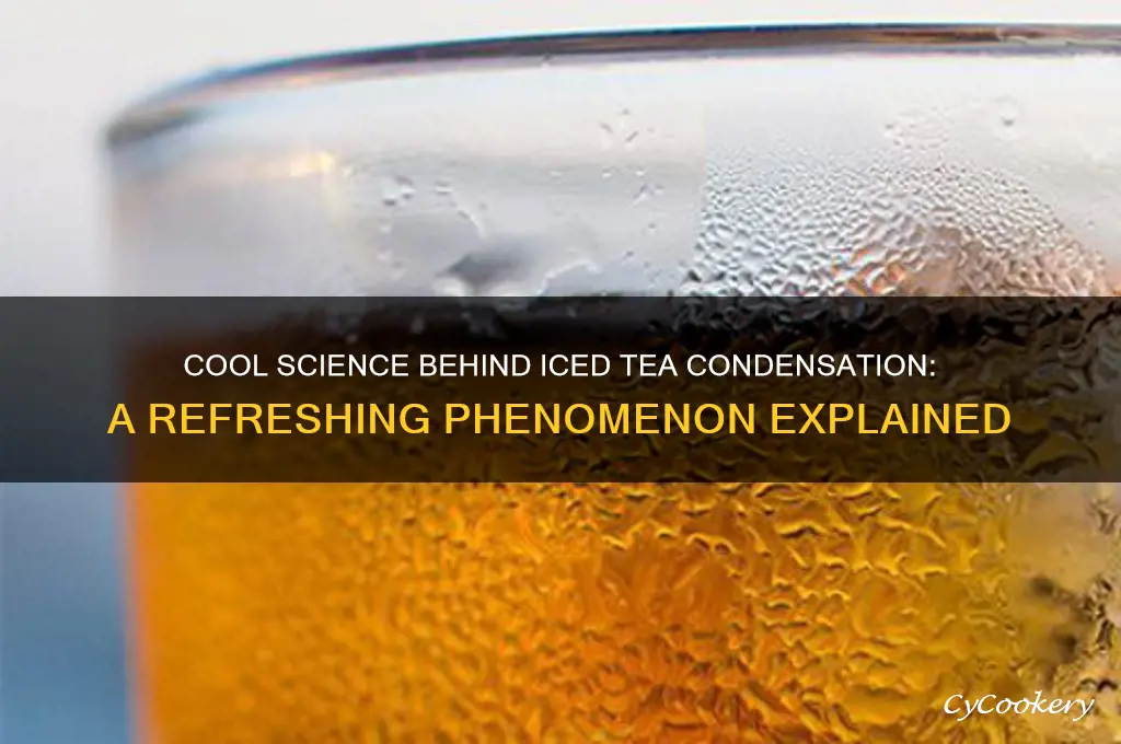 glass of iced tea condensation