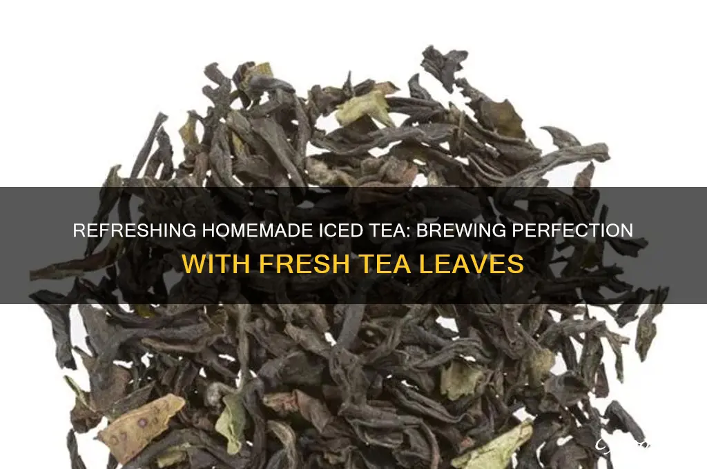 glass of iced tea using tea leaves