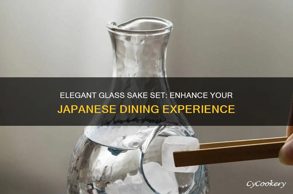 glass sake set