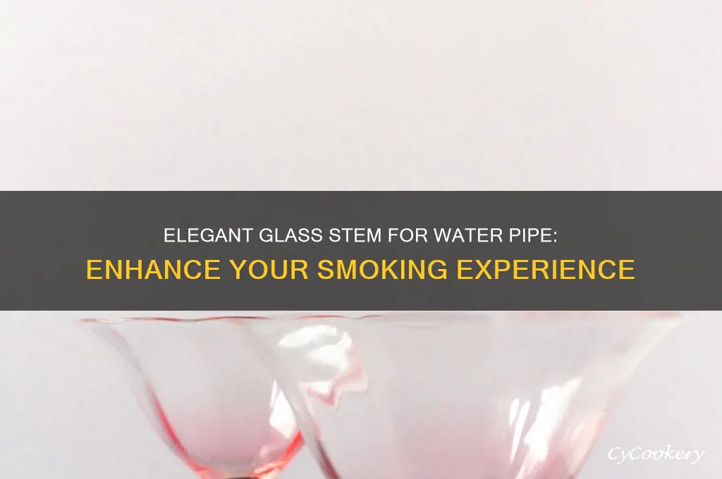 glass stem for water pipe