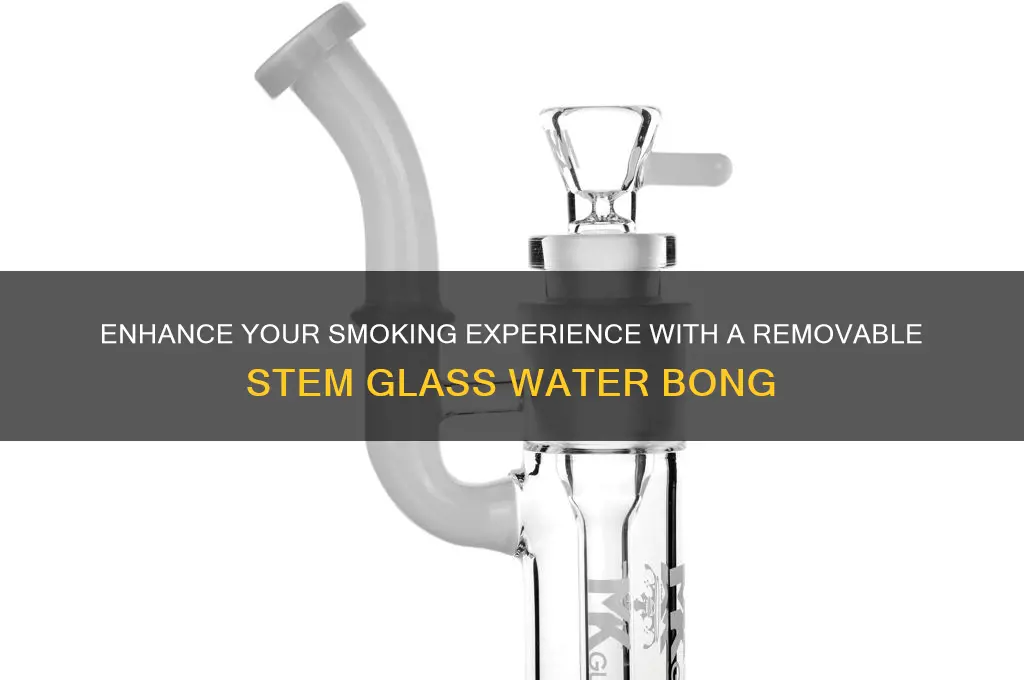 glass water bong removable stem