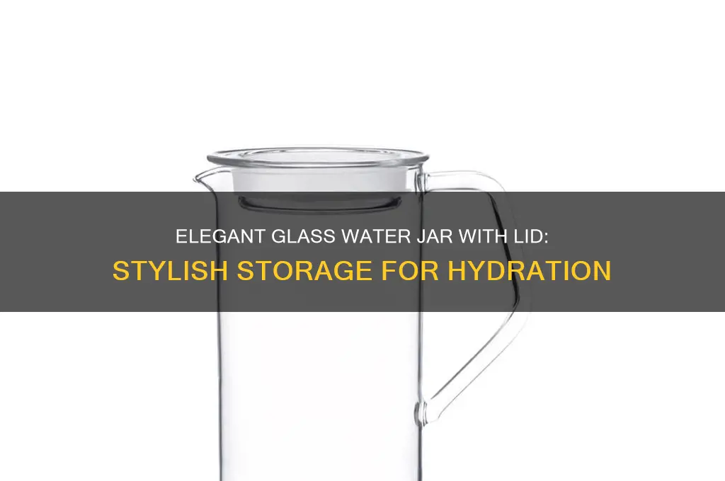 glass water jar with lid