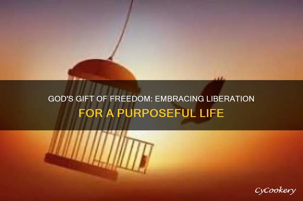 god sets us free for freedom sake