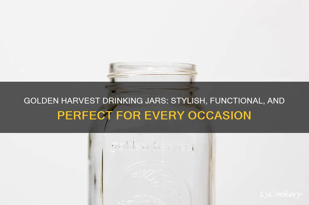 golden harvest drinking jars with handles