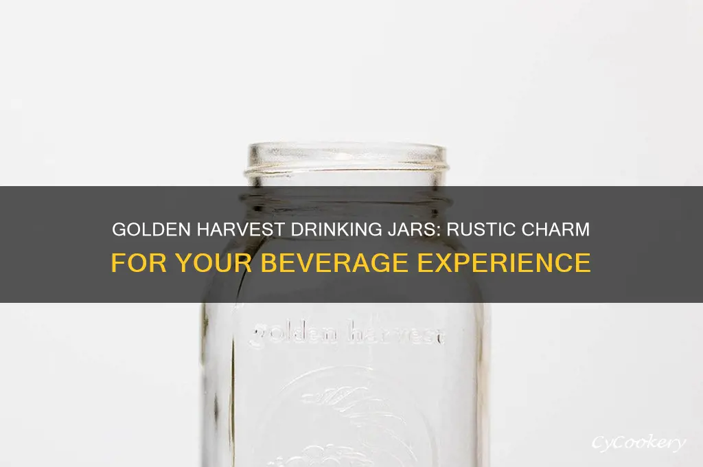 golden harvest drinking jars