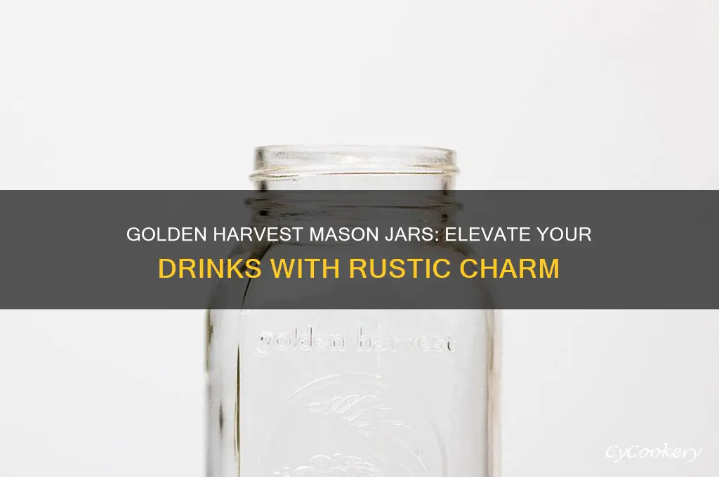 golden harvest mason drinking jars