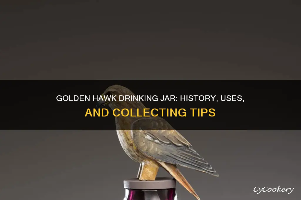 golden hawk drinking jar