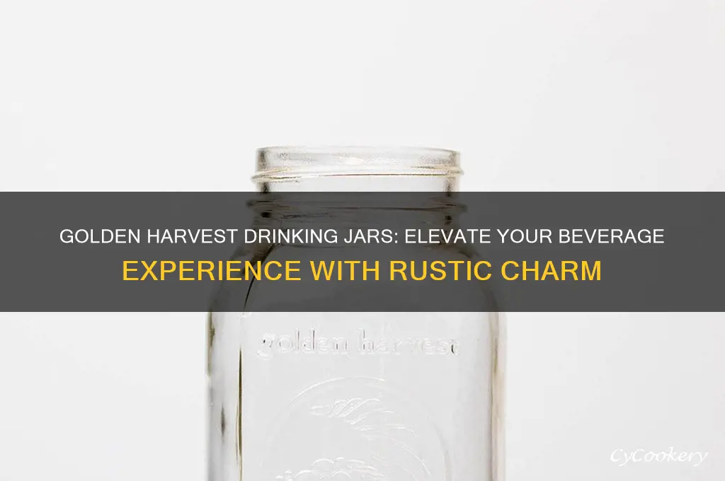 goldren harvest drinking jars