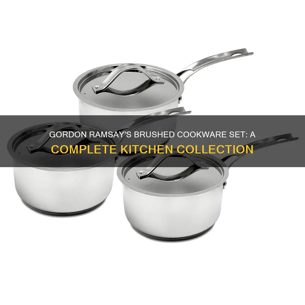 gordon ramsay 10 piece brushed cookware set