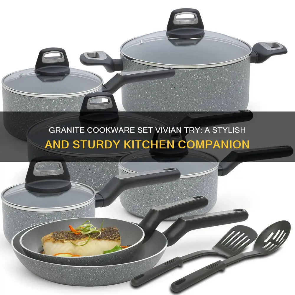 granite cookware set vivian try