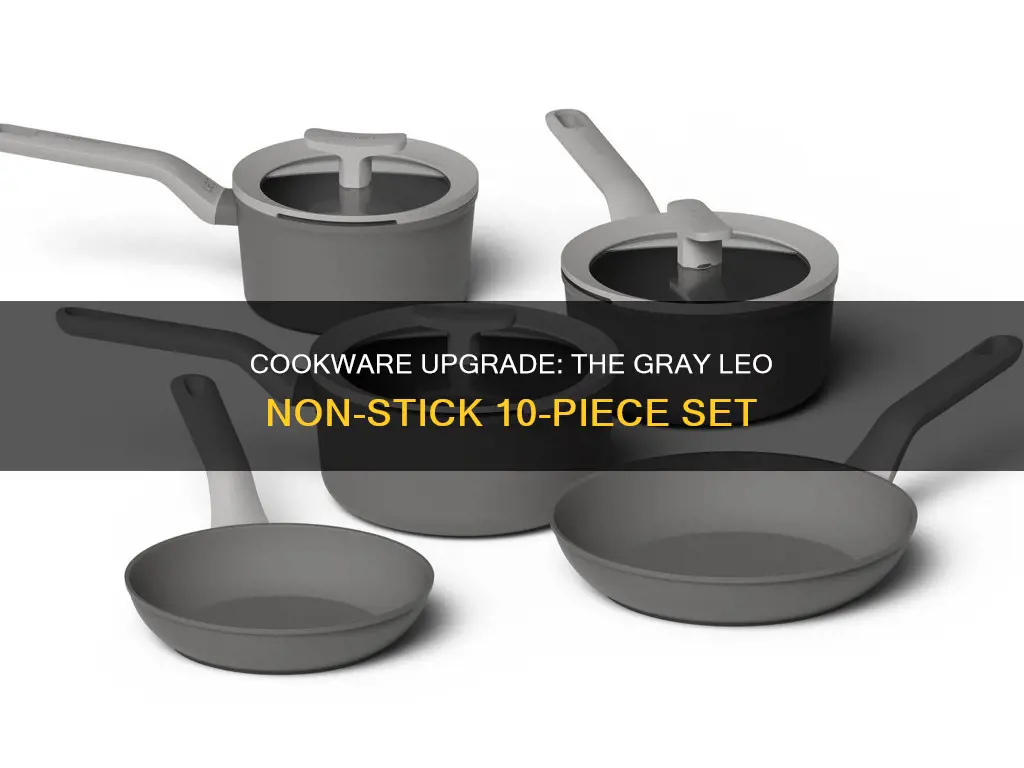 gray leo non-stick 10-piece cookware set