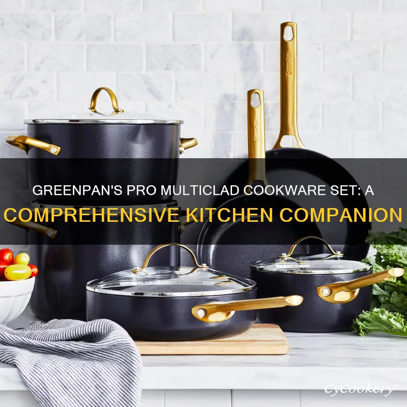 greenpan 10 piece pro multiclad cookware set