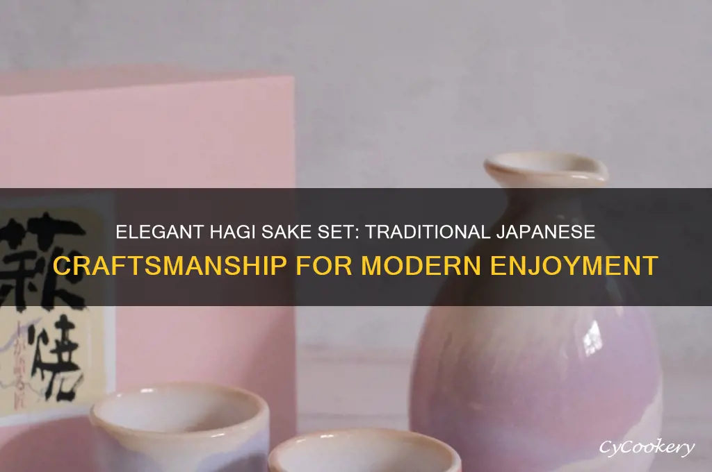 hagi sake set
