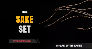 Elegant Hanzo Sake Set: A Perfect Blend of Tradition and Modernity
