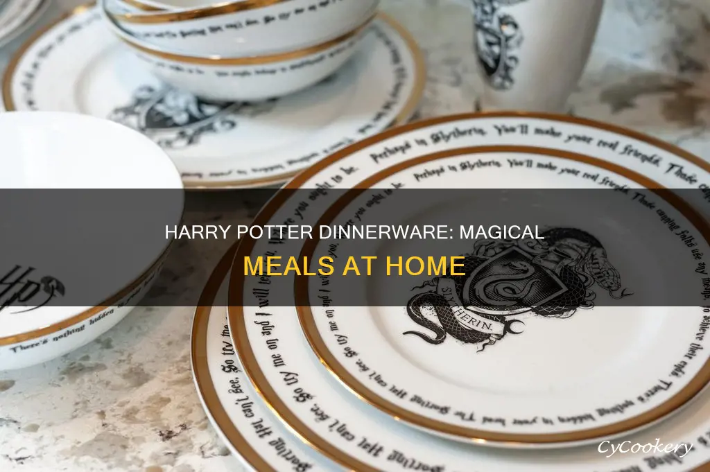 harry potter dinnerware set