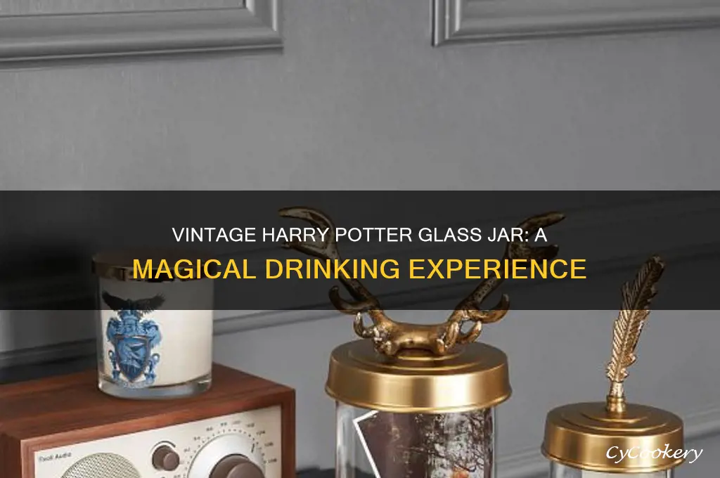 harry potter vintage drinking glass jar
