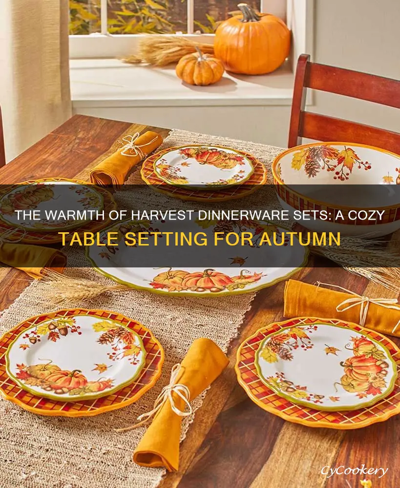 harvest dinnerware sets