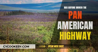 Exploring the Pan-American Highway: A Driver's Odyssey