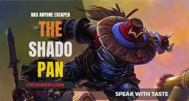 Shado-Pan Escape: Is it Possible?