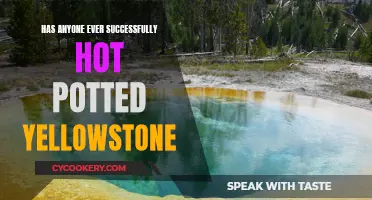 Yellowstone's Hot Pot: A Dangerous and Illegal Trend