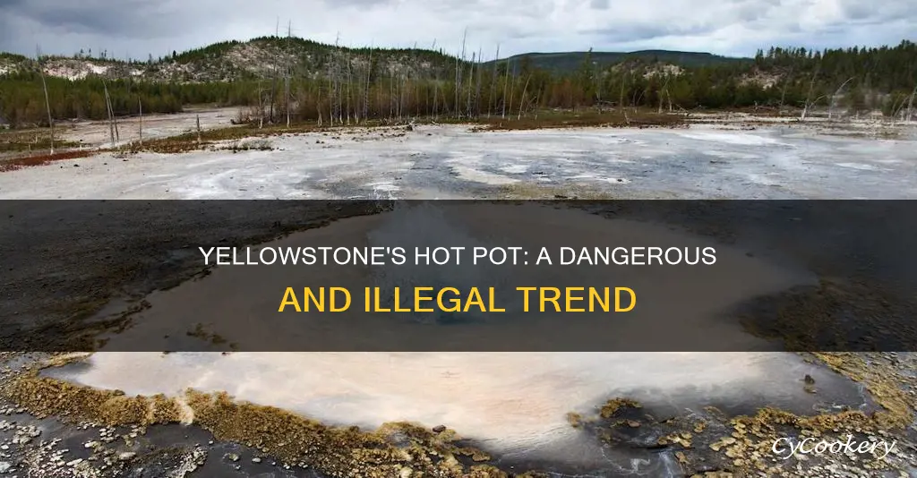 has anyone ever successfully hot potted yellowstone