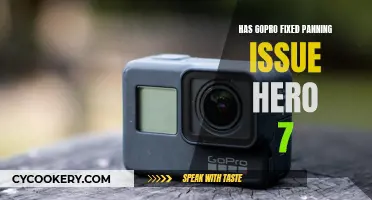 GoPro's Hero 7: Panning Issues Resolved?